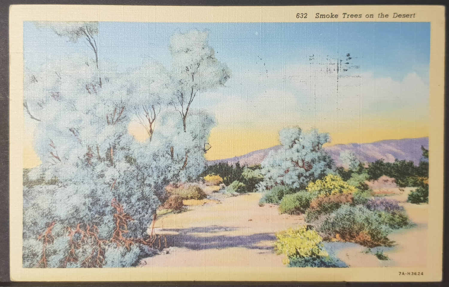 (image for) postcard USA - CA - California #0027